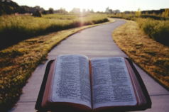 opened-book-on-brown-field-during-daytime.jpg opened book on brown field during daytime